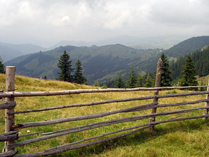 Carpathian National Park. Photo: Roman PeCHYZHak
