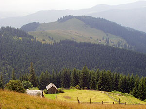 Carpathian mountains. Photo: Roman PeCHYZHak