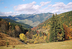 Carpathians nature. Photo: Roman PeCHYZHak