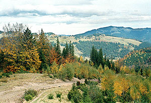 Carpathian Mountains. Photo: Roman PeCHYZHak