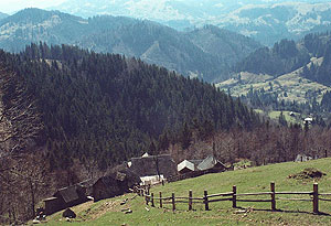 Carpathian Mountains. Photo: Roman PeCHYZHak