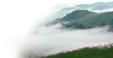 Ukrainian Carpathian Mountains