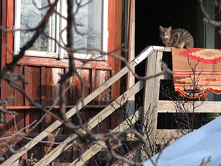 Kosiv in winter