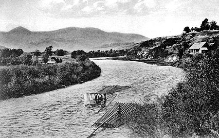 Wood rafting on the Cheremosh river