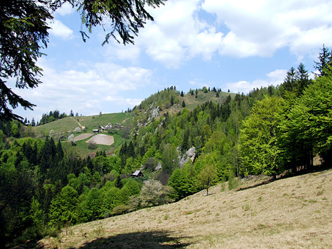 Ukrainian Carpathians, Kosiv region, Sokilski range