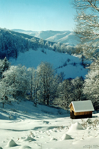 Kosiv at winter, Muhalkova mountain