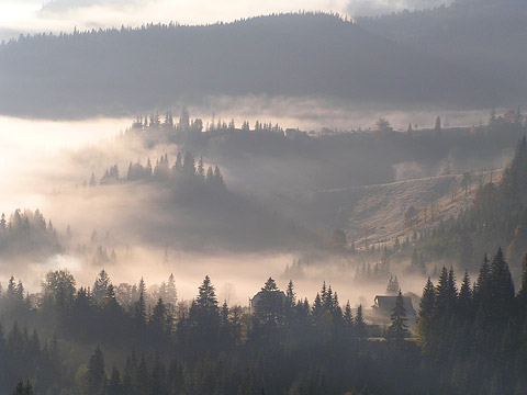 Ukrainian Carpathians, Verhovuna region, mourning at Dzembronja village