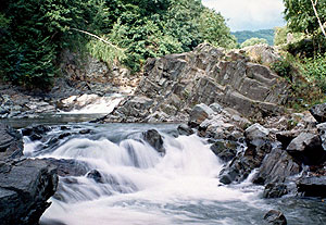 Carpathian river. Photo: Chyzh