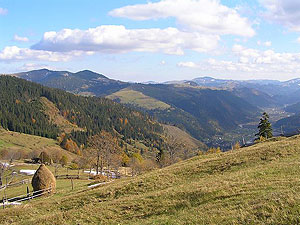 Spring in Carpathian mountains. Photo: Chyzh