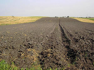 Ukrainian soil