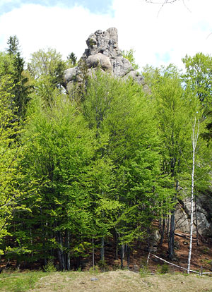 Скеля на Сокільському. Фото: Роман Печижак