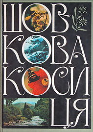 Шовкова косиця