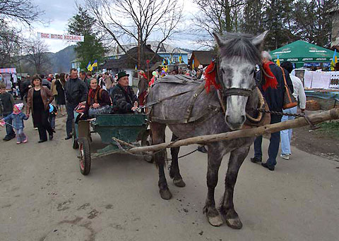 Вітаємо в Космачі!