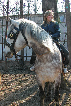 Верхова їзда