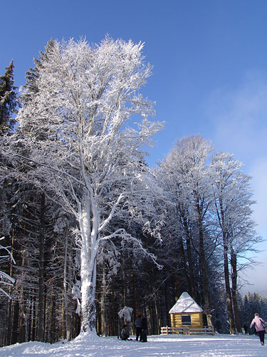 Зимові фарби