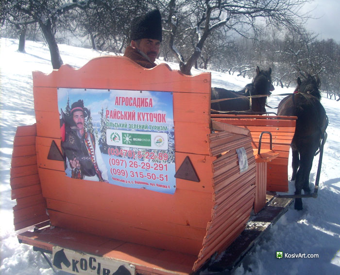 Катання на бричці взимку!